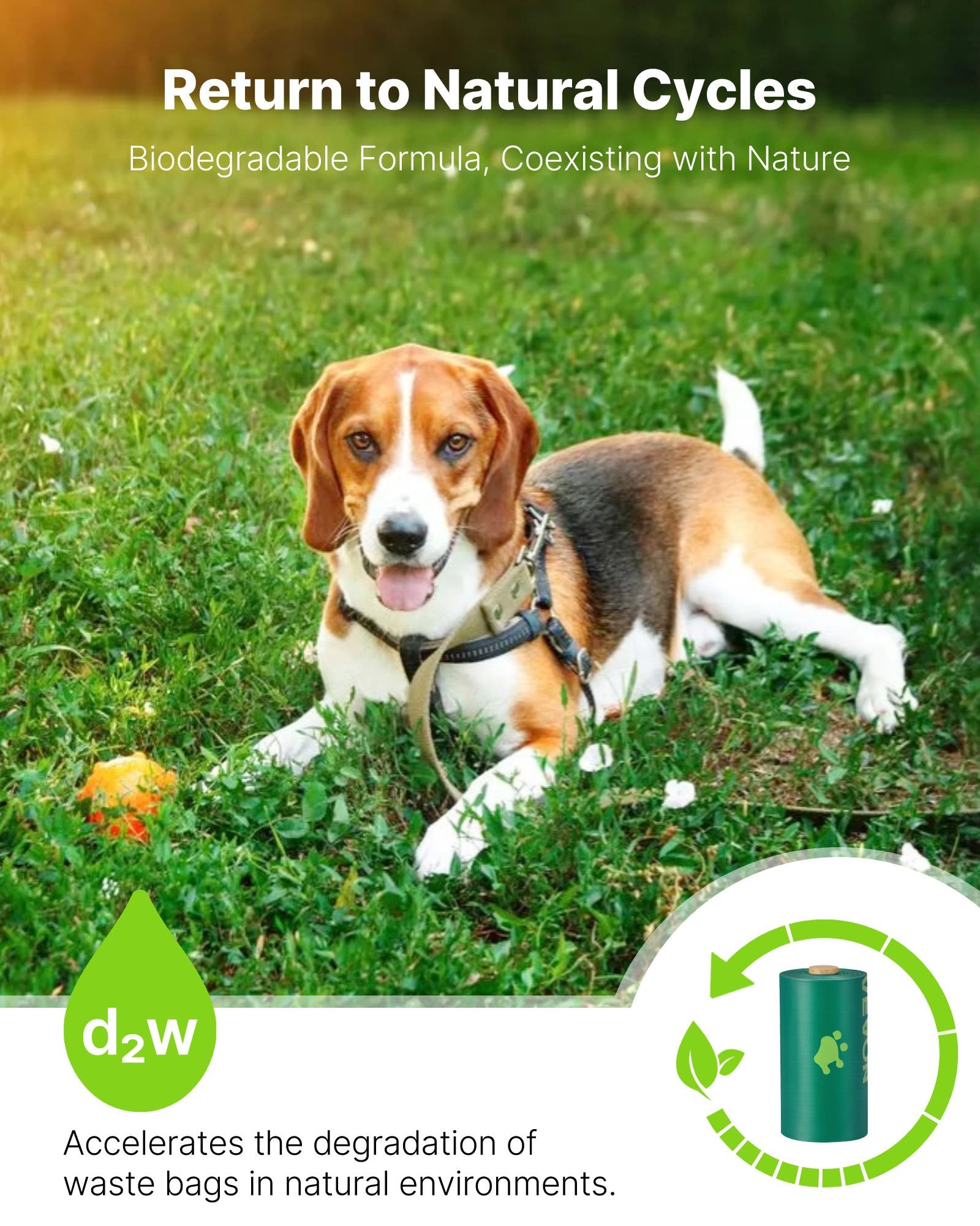 Dog Poop Bags, 270 Counts 13 X 9 In, Sturdy & Thick Pet Waste Bags, Biodegradable HDPE Waste Bag Refill Rolls, Leak-Proof Unscented Trash Bag For Doggie Cat Pet, Dispenser Not Included